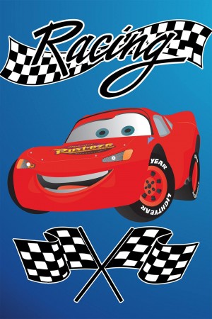 C-004